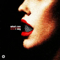 Pochette Valentino Khan & No/Me - What Can I Say