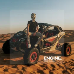 Pochette Boris Brejcha - Engine