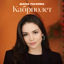 Pochette Дана Лахова - Ставлю на стоп