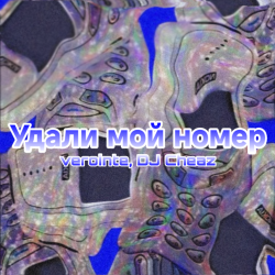 Pochette Verointe (prod. DJ Cheaz) - Удали мой номер