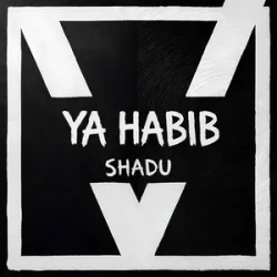 Pochette SHADU - Al Noor