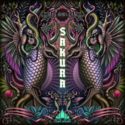 Pochette Cosmic Brahma - Sakura