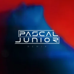 Pochette Pascal Junior & Papa Jr. - Ploaia (Remix)