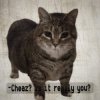 DJ Cheaz - Effector