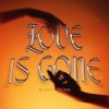 Black Station - Love Is Gone