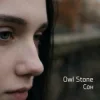 Pochette Owl Stone - Сон Owl Stone - Сон