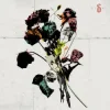 Pochette Shinedown - Dance, Kid, Dance Shinedown - Dance, Kid, Dance