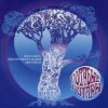 Pochette Голубые гитары - Ветер северный Голубые гитары - Ветер северный