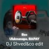 Pochette Ulukmanapo, BAPAY - Вес (DJ Shved&co EDIT) Ulukmanapo, BAPAY - Вес (DJ Shved&co EDIT)