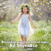 Pochette DJ Shved&co - Весенний русский попсо-микс (апрель 2026) DJ Shved&co - Весенний русский попсо-микс (апрель 2026)