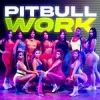 Pochette Pitbull - Work Pitbull - Work