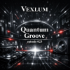 Pochette Vexlum - Quantum Groove 023 Vexlum - Quantum Groove 023