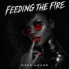 Pochette ANONFX - FEEDING THE FIRE ANONFX - FEEDING THE FIRE