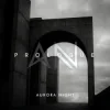 Pochette Aurora Night - Prologue Aurora Night - Prologue