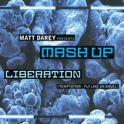 Pochette Matt Darey pres. Mash Up - Liberation (Ferry Corsten Remix)