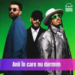 Pochette Smiley & Alex Velea & Connect-R. - Anii in care nu dormim (Speak Remix)
