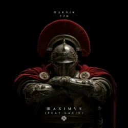 Pochette MARNIK & T78 & Lavie - Maximus