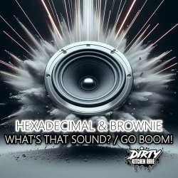 Pochette Hexadecimal & DJ Brownie - Go Boom!