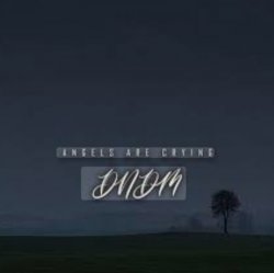 Pochette DNDM - Angels Are Crying