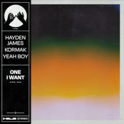Pochette Hayden James & Kormak & Yeah Boy - One I Want