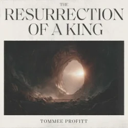 Pochette Tommee Profitt & Fleurie - I’ll Fly Away