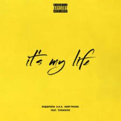 Pochette Эндшпиль feat. TumaniYO - It's My Life