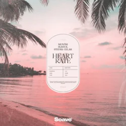 Pochette Montri & Survol - Heart Rate (feat. Stefan Celar)