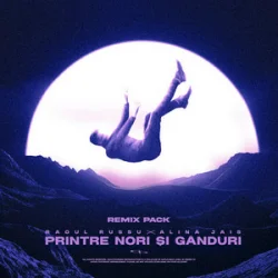 Pochette Raoul Russu & Alina Jais - Printre nori si ganduri (Jayraa Remix)