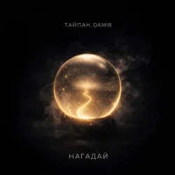 Pochette Тайпан & DAMIR - Нагадай