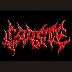 Pochette Carste - Capital War