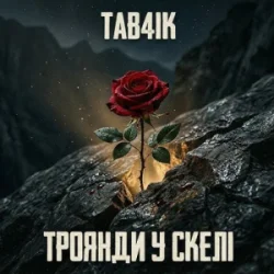 Pochette Tab4ik - Троянди у скелі