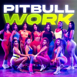 Pochette Pitbull - Work