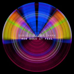 Pochette Dubdogz & Fezzo & Zaark - How Does It Feel