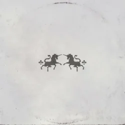 Pochette The Chainsmokers & Oaks - Echo