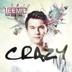 Pochette Teemid - Crazy (Club Edit) (Feat. Joie Tan)