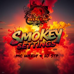 Pochette Dj Stp & Mc Weedy - Dirty Shades Of Clean