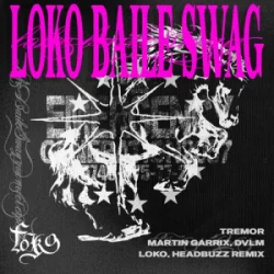 Pochette Martin Garrix & DVLM - Tremor (Headbuzz & Loko Remix)