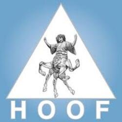 Pochette Hoof - Detroit (Mixed)
