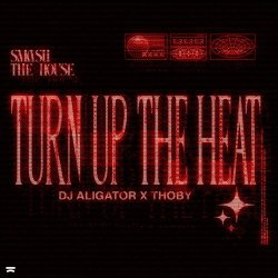 Pochette DJ Aligator & Thoby - Turn Up The Heat
