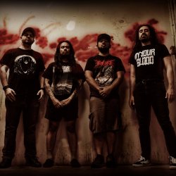 Pochette Necrodios - Violent Ending