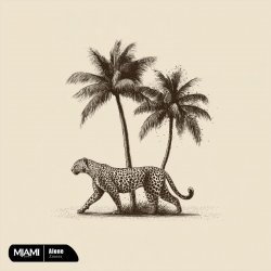 Pochette Zmeex - Shadow (Ozzem Remix)