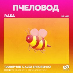 Pochette RASA - Пчеловод (Dobrynin & Alex Shik Radio Edit)