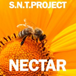 Pochette Nectar