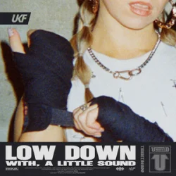 Pochette Rova & A Little Sound - Low Down