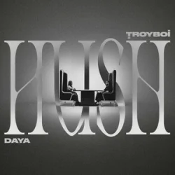 Pochette TroyBoi & Daya - HUSH