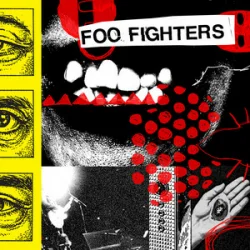 Pochette Foo Fighters - Window