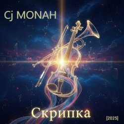 Pochette Скрипка