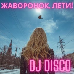Pochette DJ Disco - Жаворонок