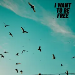 Pochette Roberto Pedoto - I Want To Be Free