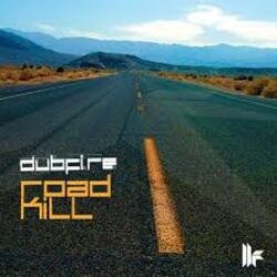 Pochette Dubfire - Roadkill (EDX’s Acapulco At Night Remix)